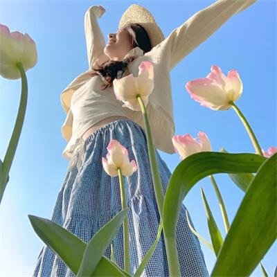 猫和老鼠旧版